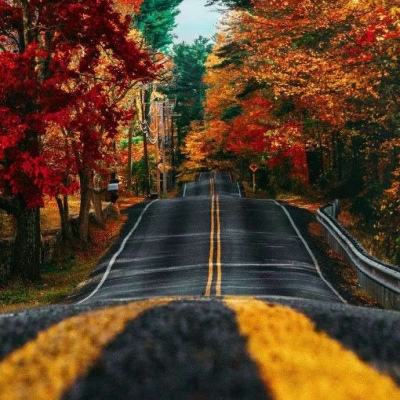 bob·体育综合app下载手机版